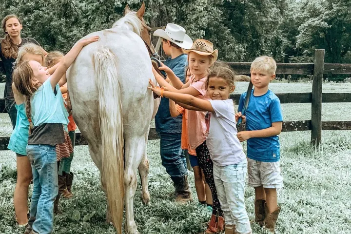 a group of people standing next to a horse
