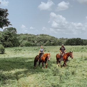 a group of people riding a horse in a field