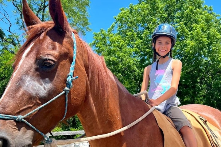 a person riding on the back of a brown horse