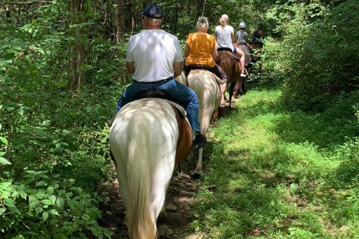 a man riding a horse in a forest